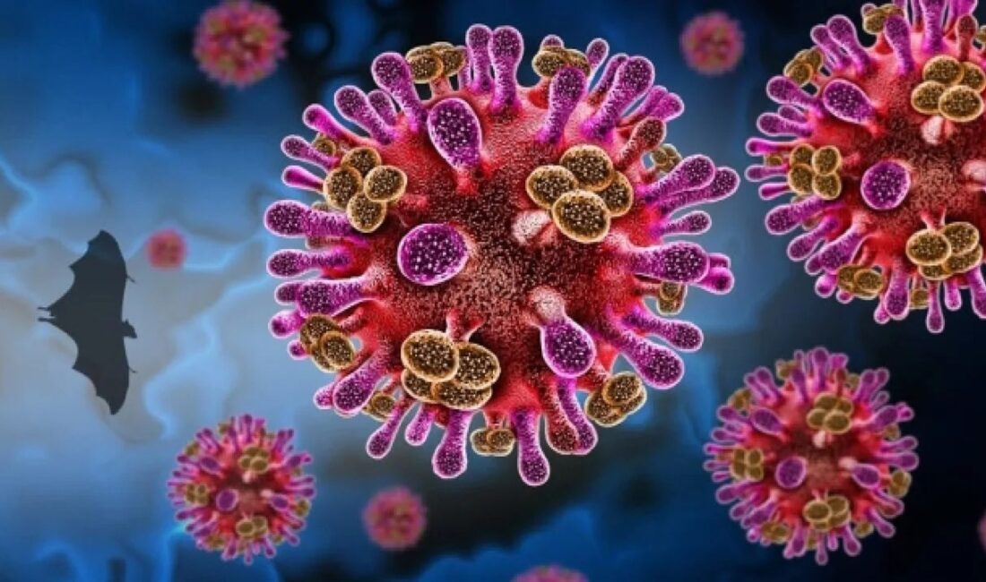 Dünya Sağlık Örgütü (DSÖ), Hindistan’ın Batı Bengal eyaletinde tespit edilen