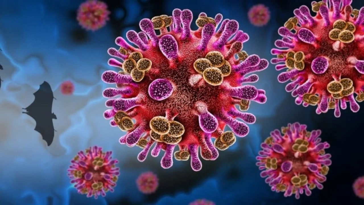 Dünya Sağlık Örgütü (DSÖ), Hindistan’ın Batı Bengal eyaletinde tespit edilen